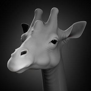 3D giraffer head animal 2020 model