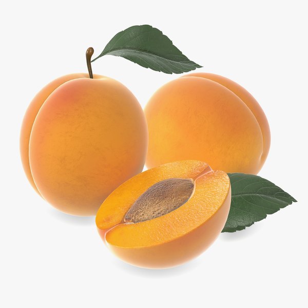 _apricot1.jpg
