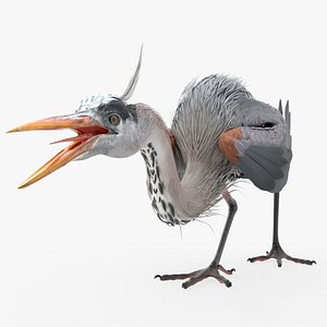 Realistic Great Blue Heron Animated Rigged For Blender