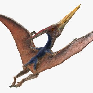 pteranodon flying pose fur 3D model