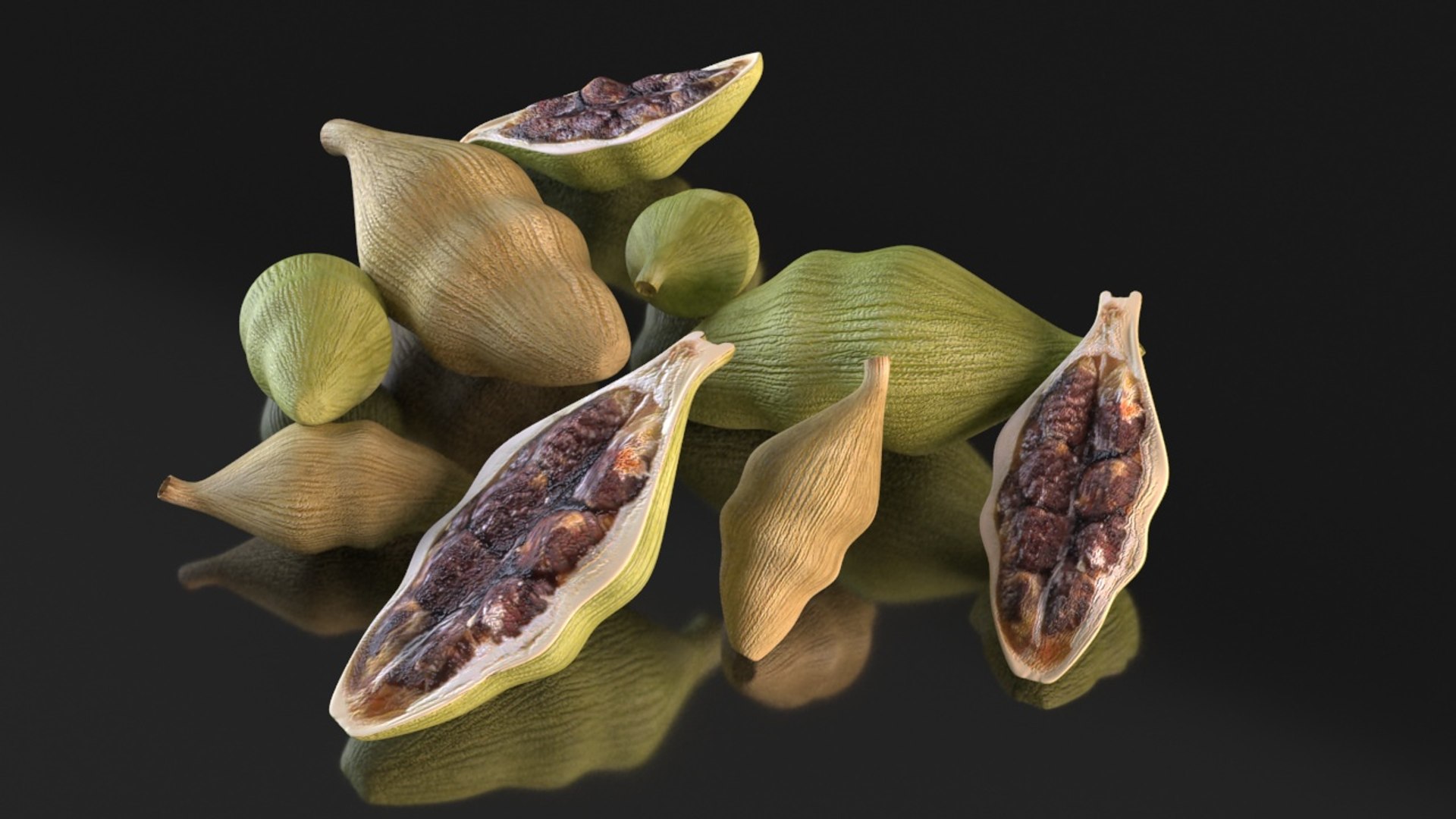 3D Cardamom Spice Plants Tree Model - TurboSquid 1381209