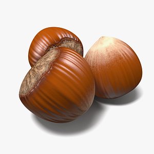 hazelnut nuts hazel 3D