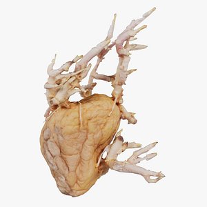 Shriveled Potatoe 9 Remastered