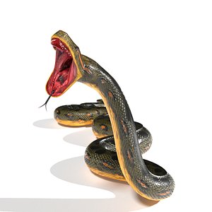 3D anaconda snake