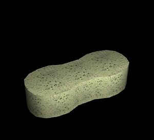 Sponge