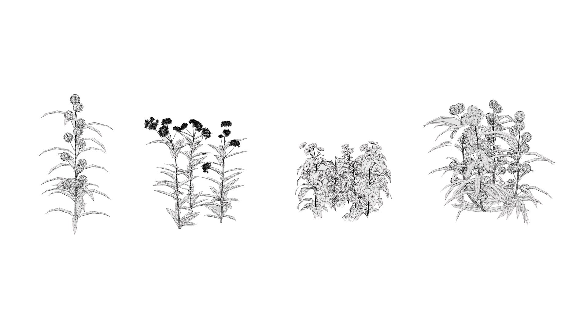 3D model Photorealistic Milkweed Plant 3D Models https://p.turbosquid.com/ts-thumb/Bs/dKaDGu/FR/wirel/jpg/1776101921/1920x1080/fit_q87/8e11e5c2bdc5fe6fe3cf5adda34ad751320180b9/wirel.jpg
