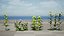 Modèles 3D photoréalistes de plantes d'asclépiade
