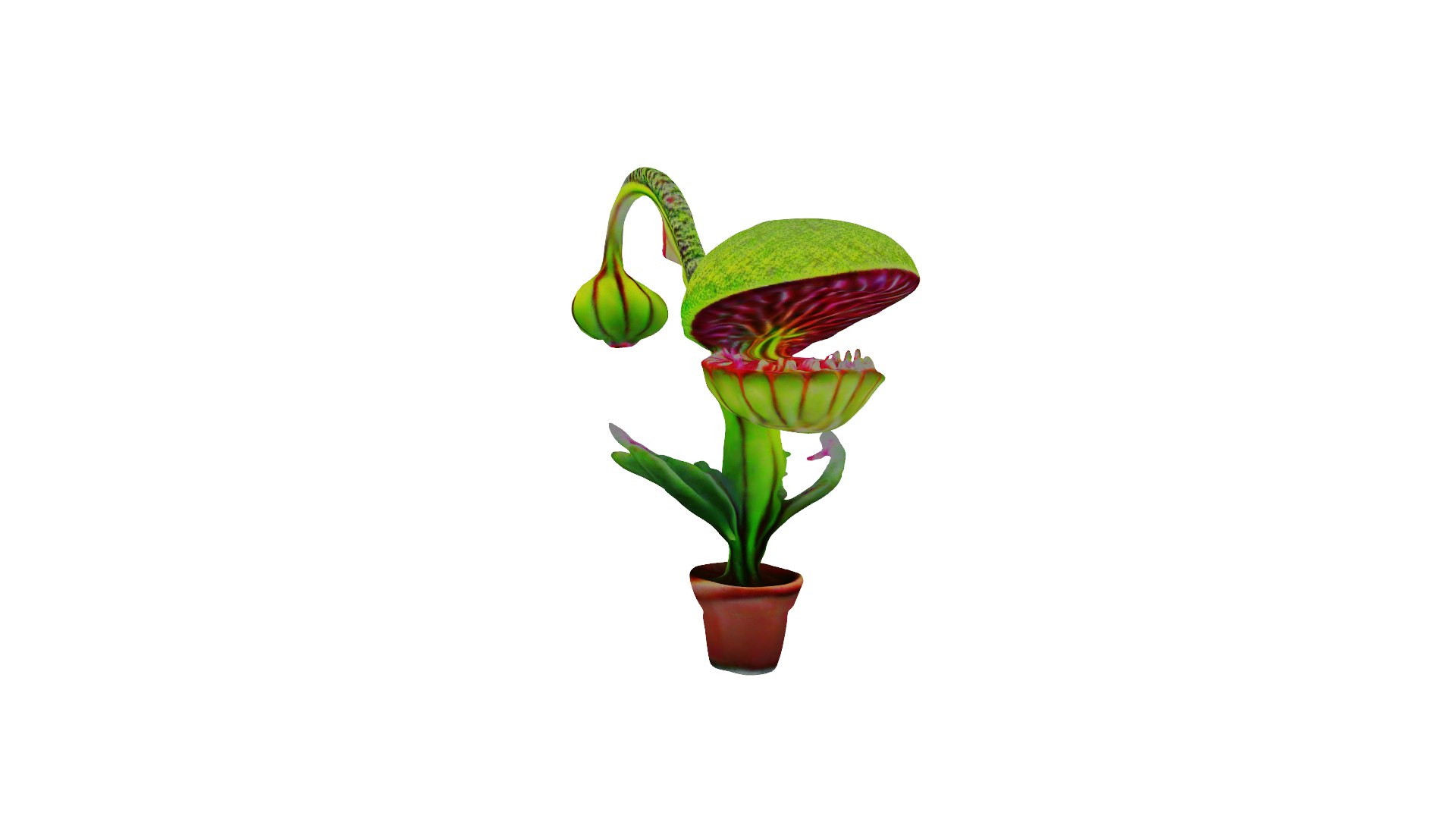 Carnivorous Plant 3D Model - TurboSquid 2278306