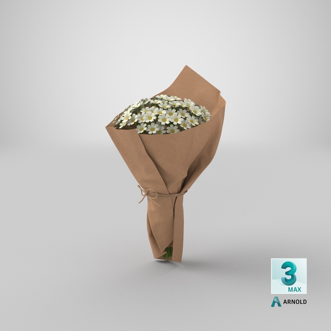 Daisy Bouquet 3D model https://p.turbosquid.com/ts-thumb/Bs/dkrVCb/Th/stemcell_max_arnold_render/png/1689284601/1920x1080/fit_q87/66c0b13480c206668c987297c72514ba762ebdee/stemcell_max_arnold_render.jpg
