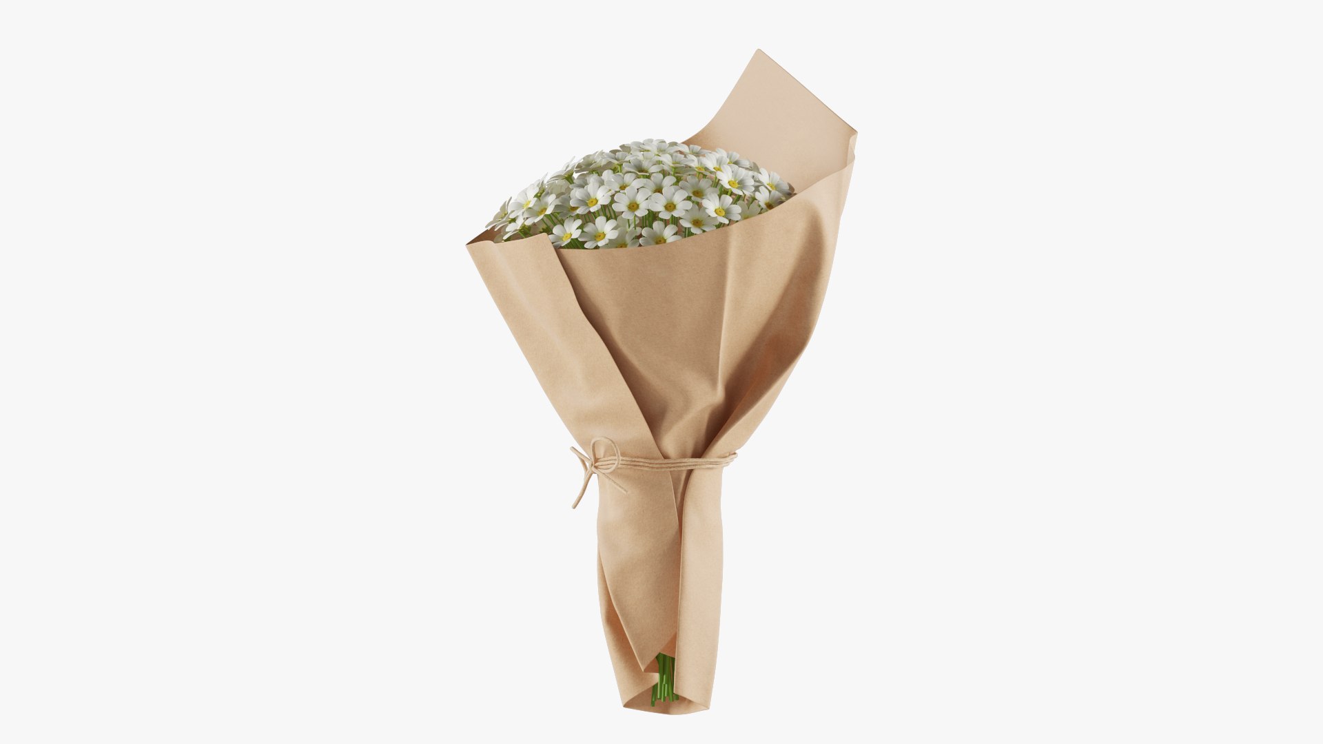 Daisy Bouquet 3D model https://p.turbosquid.com/ts-thumb/Bs/dkrVCb/YL/06/jpg/1687883079/1920x1080/fit_q87/9714a2d0ad3b58175b687d5b90ae60a3d5327d83/06.jpg