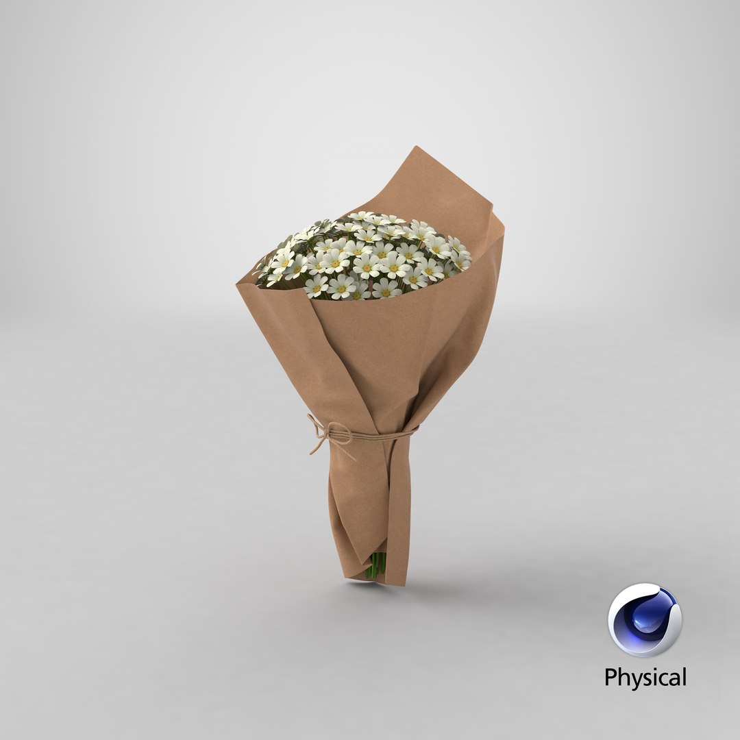 Daisy Bouquet 3D model https://p.turbosquid.com/ts-thumb/Bs/dkrVCb/fC/stemcell_cinema_4d_physical_render/png/1689284605/1920x1080/fit_q87/d7695572f572cdbcddc7b4f4cfa7c4182e217379/stemcell_cinema_4d_physical_render.jpg