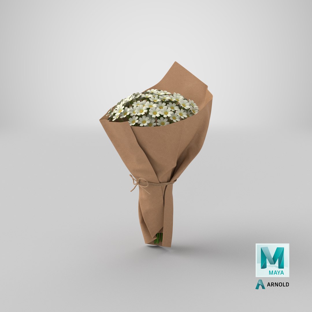 Daisy Bouquet 3D model https://p.turbosquid.com/ts-thumb/Bs/dkrVCb/jE/stemcell_maya_arnold_render/png/1689284597/1920x1080/fit_q87/b29b8a6917d45e209f48725461af6ee7b6b099da/stemcell_maya_arnold_render.jpg