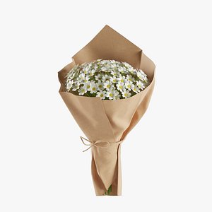 Daisy Bouquet 3D model