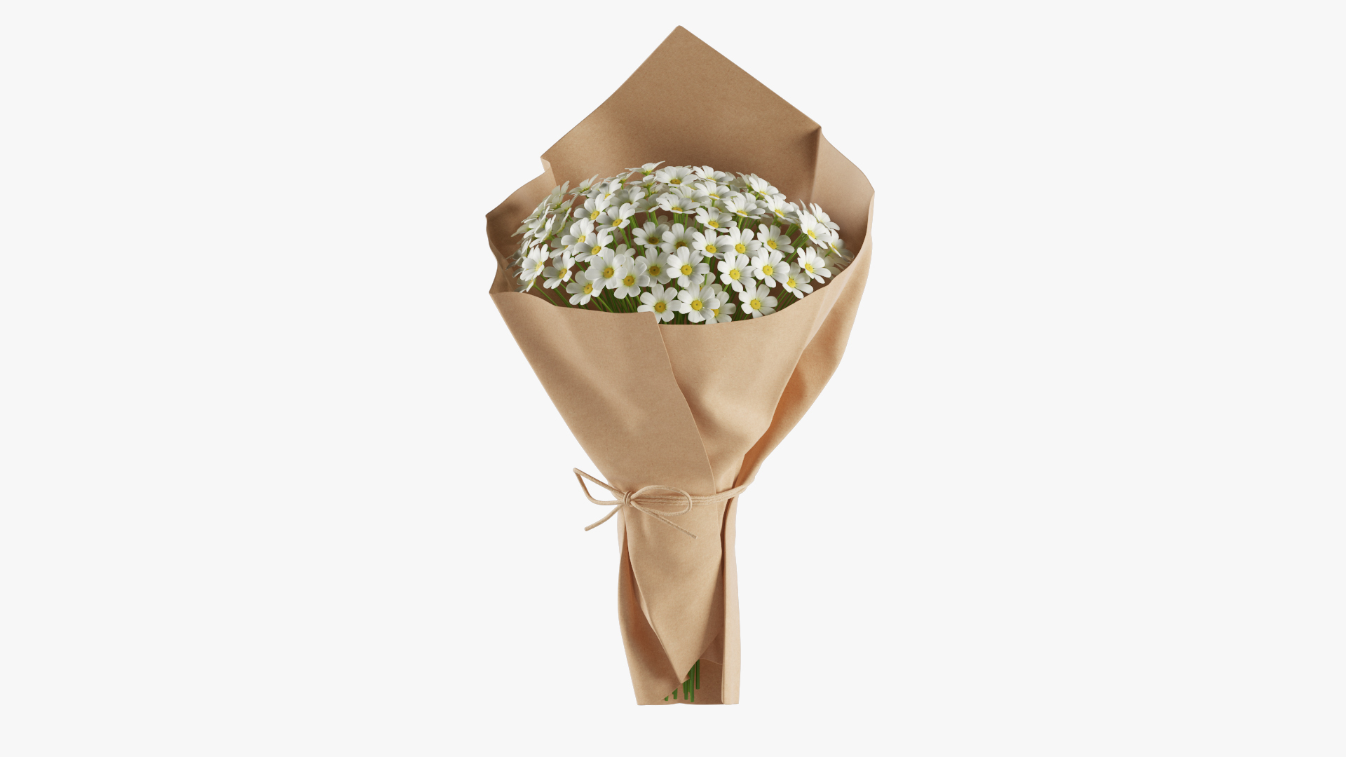Daisy Bouquet 3D model https://p.turbosquid.com/ts-thumb/Bs/dkrVCb/ym/img/jpg/1687883139/1920x1080/turn_fit_q99/a246ae93d63e4b9efe1e13e7feabbfdf296164d9/img-1.jpg