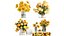 ブーケ SET 1711 3D MAX 2016