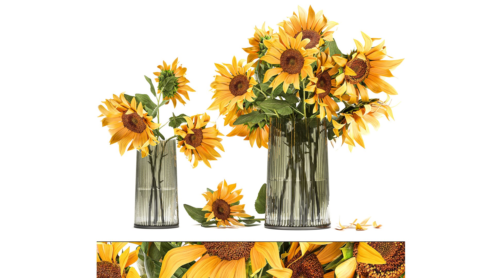 Bouquet SET 1711 3D MAX 2016 3D https://p.turbosquid.com/ts-thumb/Bs/i6LTDO/WP/1bouquetset171106/jpg/1763478032/1920x1080/fit_q87/bd419c834c0dd96a13e075d18f6675d9d7b7fc6b/1bouquetset171106.jpg
