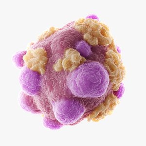 Cell Leukemia 3D model