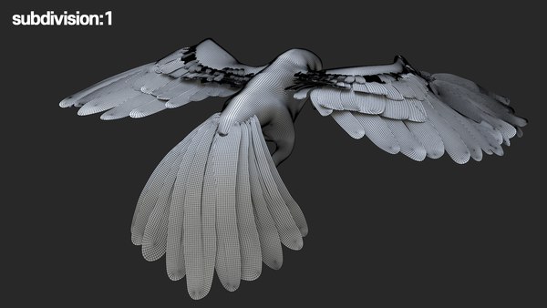 3D model rigging crow anatomy - TurboSquid 1521224