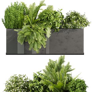 plant vol 853 - Indoor - balcony 3D model