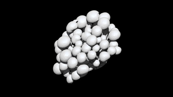 bunashimeji mushroom 3D CT scan model decimate 8 percent 3D model
