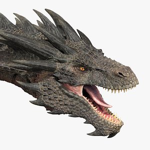 Dragon Black No Rig