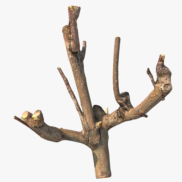 3D Twig Scanned 26 model