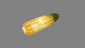 Cartoon moldy corn on the cob 3D