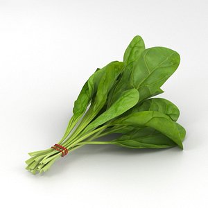 spinach food 3D
