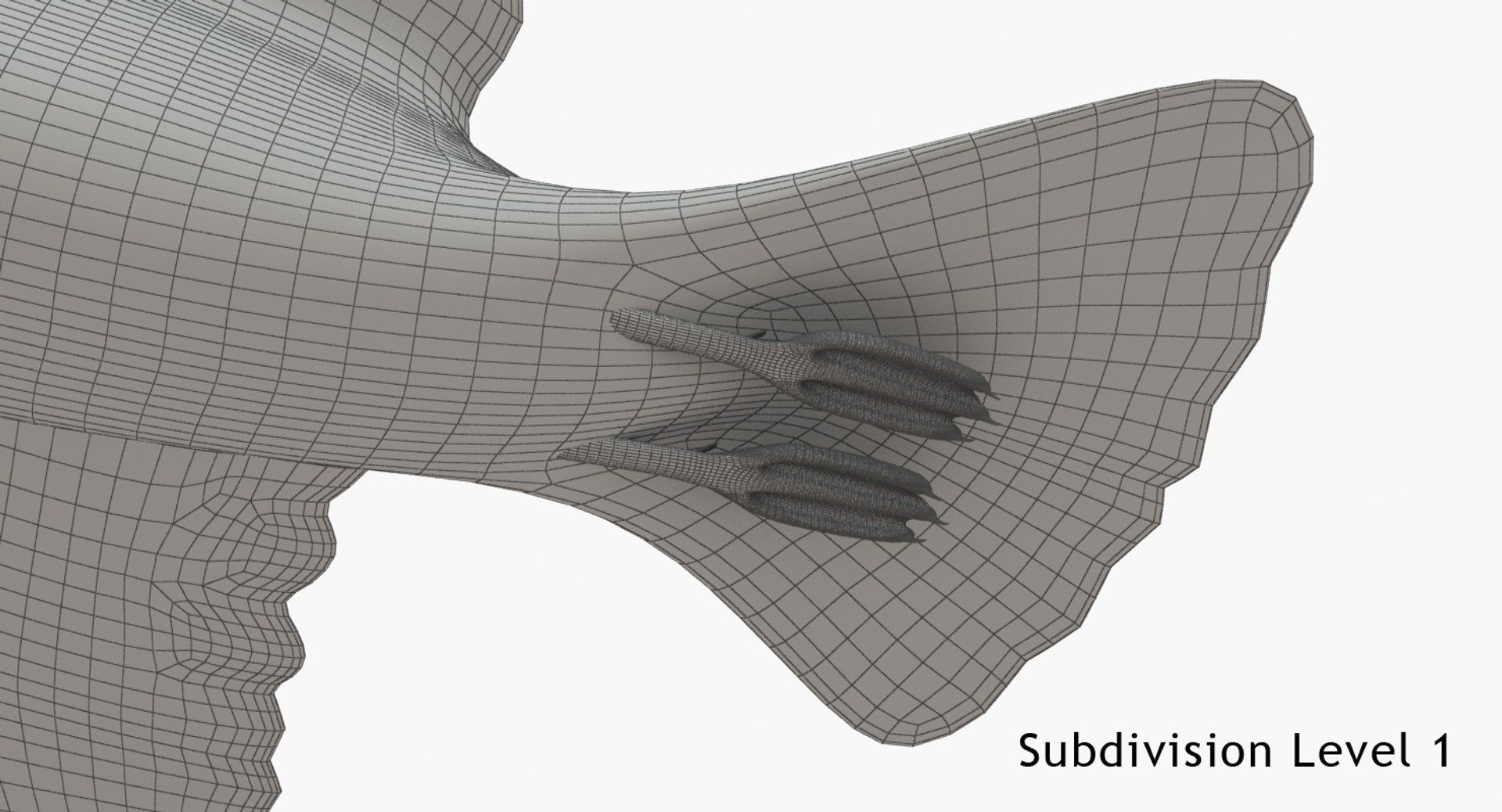 3D Seagull https://p.turbosquid.com/ts-thumb/Bt/kW91on/5U/w8/jpg/1780958152/1920x1080/fit_q87/dedb77c81038e2e2d7f7b8c236b24321e01edf00/w8.jpg