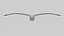 Seagull