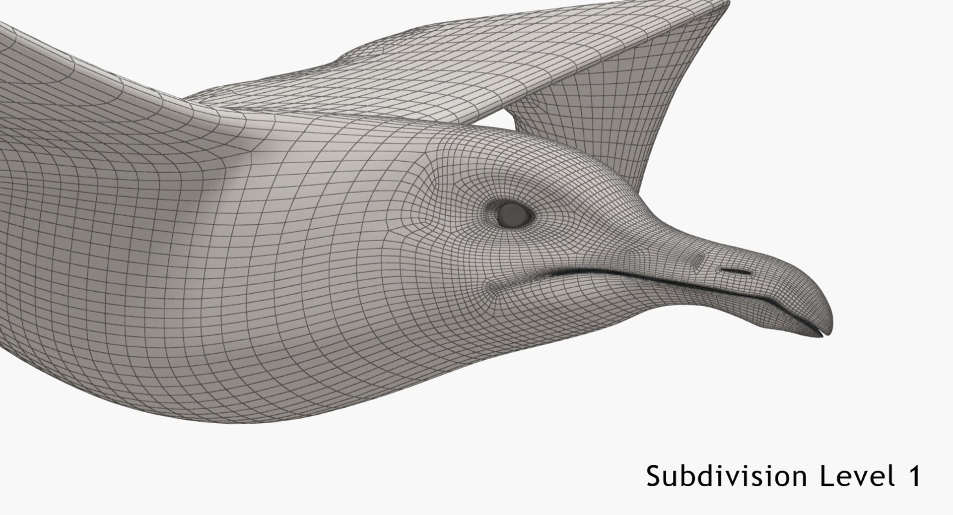 3D Seagull https://p.turbosquid.com/ts-thumb/Bt/kW91on/Ju/w5/jpg/1780958153/1920x1080/fit_q87/c0afaec510f9936826075f92c799eb8dbc9b3902/w5.jpg