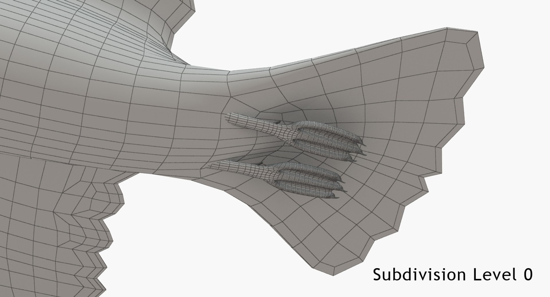 3D Seagull https://p.turbosquid.com/ts-thumb/Bt/kW91on/Re/w7/jpg/1780958151/1920x1080/fit_q87/bfa21022ccc2140206b2fe5214c74560a4ef257d/w7.jpg