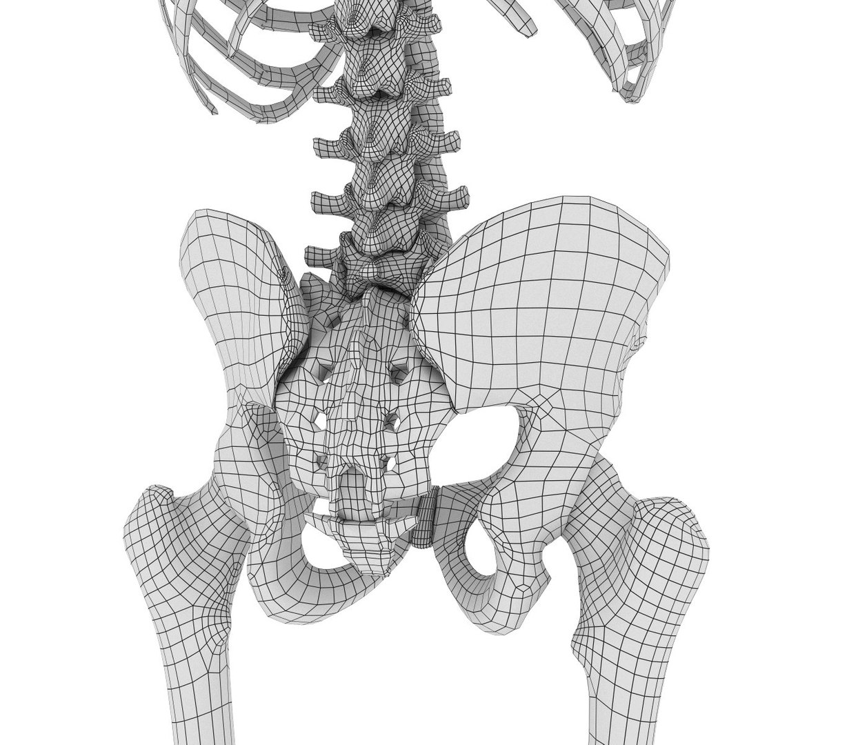 human skeleton 3D model https://p.turbosquid.com/ts-thumb/Bt/oxMKJ8/VWSw1mDw/029/jpg/1521310487/1920x1080/fit_q87/be3be6c902e2eba320964e964badbb2ac87fe43d/029.jpg