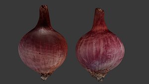 Red Onion 3D Scan 3D model