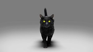 Fur Cat Black NO Rigged 3D model