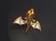 Dragón marrón de dibujos animados aparejado Low-poly modelo 3d
