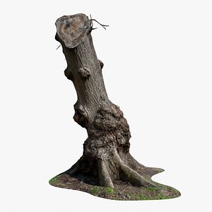 Tall Tree Stump PBR Scan Retopo