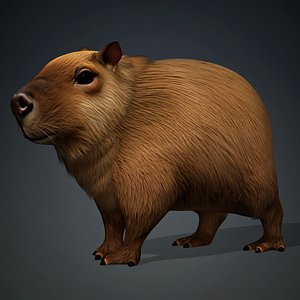3D Capybara-A1 model