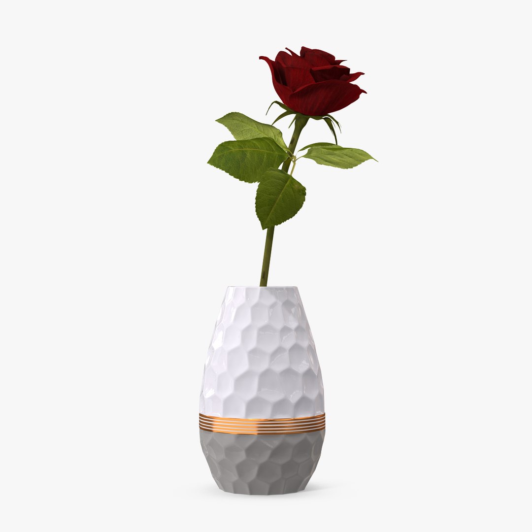 Hexagon Vase with Rose 3D model preview