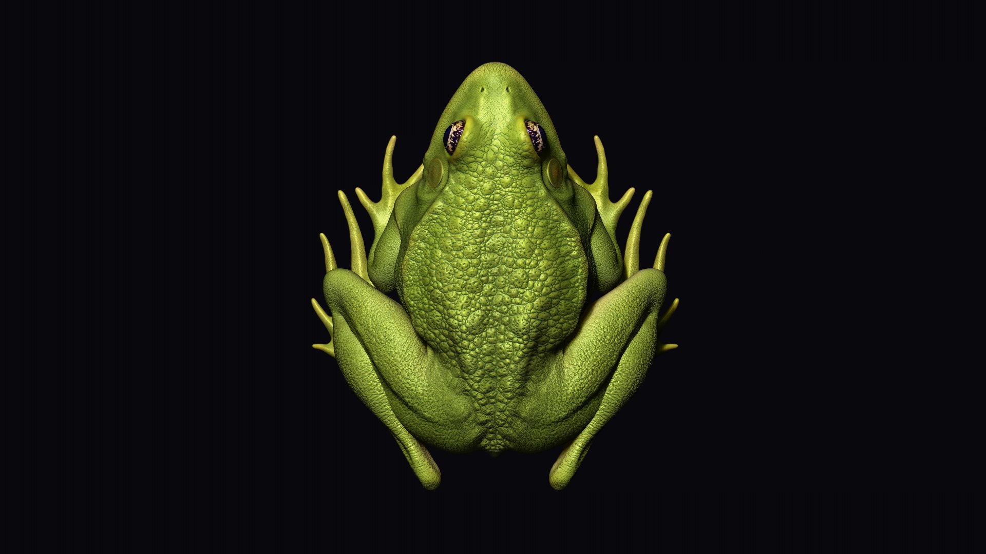 Frog Model 3D Model - TurboSquid 1897540