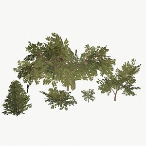 3d model bush pack