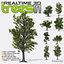 Realtime 3D Trees V1 - 8 Pack