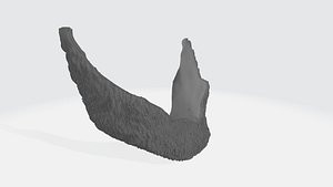 Beard