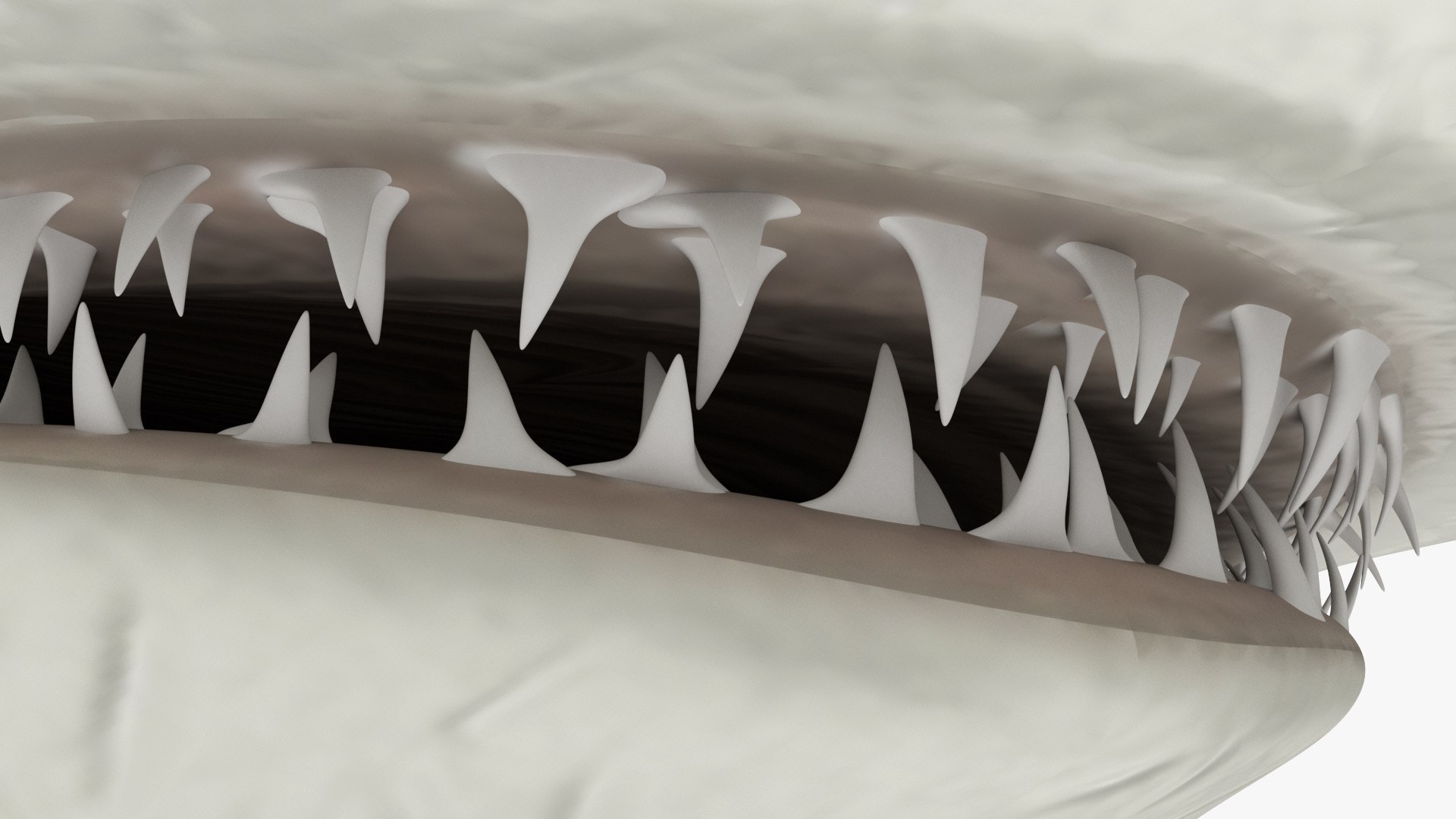 Hammerhead Shark Set Animated Rigged For Maya 3D Model - TurboSquid 2559400