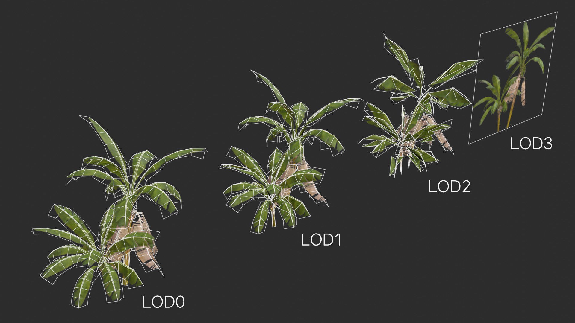 assets banana trees model https://p.turbosquid.com/ts-thumb/Bu/elvtMz/84/lods01/jpg/1605816530/1920x1080/fit_q87/b647c4e6dbb80ee79f7828a14565046159a366b7/lods01.jpg