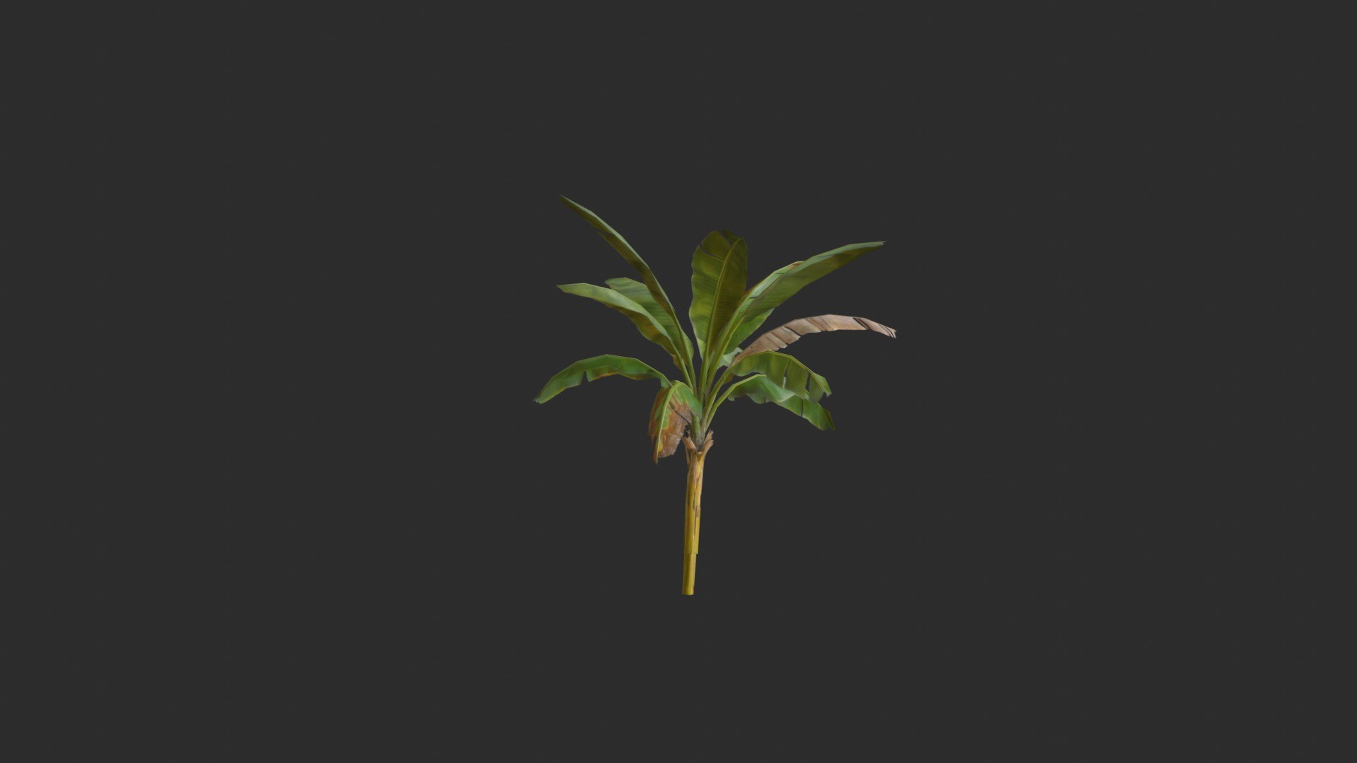 assets banana trees model https://p.turbosquid.com/ts-thumb/Bu/elvtMz/AY/render02_0004/jpg/1605816153/1920x1080/fit_q87/5b83602adac9a2ec2f556b5997ced70277a86115/render02_0004.jpg