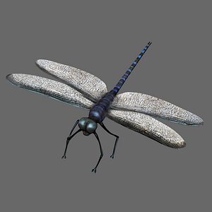 dragonfly fly 3d model
