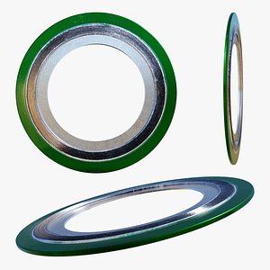 3D model Spiral Wound Gasket Flange Seal