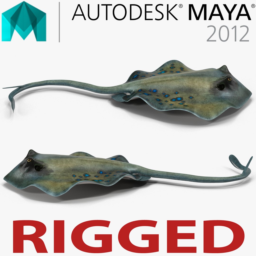 Spotted Stingray Rigged for Maya 3D model preview