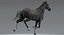3D model horse animal mammal